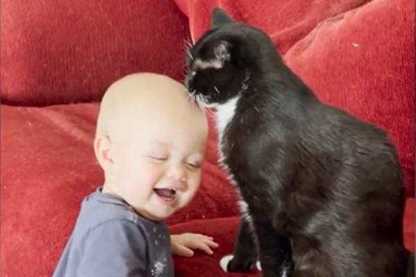 Clip: Lao xe ra đường bất cẩn, nữ tài xế rước họa vào thân-1