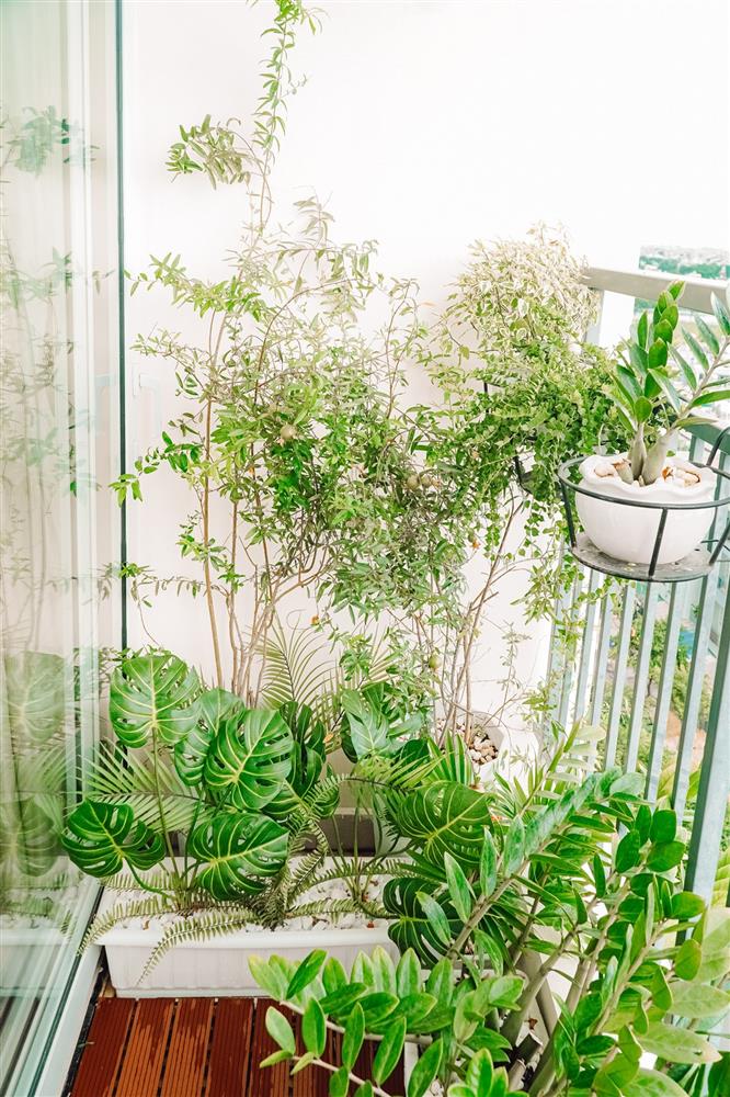 Nữ điều dưỡng trổ tài thiết kế, tận dụng cả chai nước truyền dịch để decor nhà: Cứ tưởng không gian sống sẽ khô khan như nghề ai ngờ thành quả lại đốn tim bao người-20