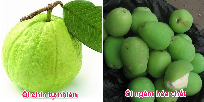 Người phụ nữ bán ổi ngâm hoá chất cho một nhóm học sinh rồi giới thiệu là Ổi Cò - đặc sản Đồng Tháp khiến nhiều người bất bình-1