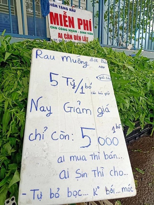 Chuyện ít biết về anh Minh rau muống đột biến nổi như cồn ở Đồng Nai: Bất đắc dĩ thành hiện tượng mạng rồi bị chửi là ngu bởi kiểu bán hàng khác người giữa mùa dịch-5