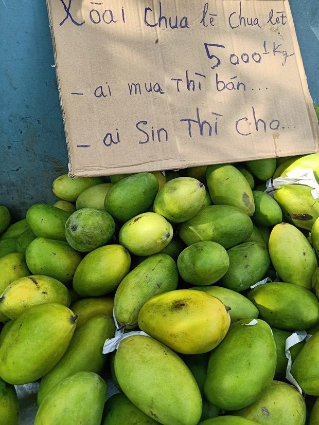 Chuyện ít biết về anh Minh rau muống đột biến nổi như cồn ở Đồng Nai: Bất đắc dĩ thành hiện tượng mạng rồi bị chửi là ngu bởi kiểu bán hàng khác người giữa mùa dịch-6