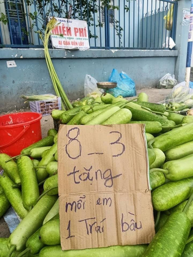 Chuyện ít biết về anh Minh rau muống đột biến nổi như cồn ở Đồng Nai: Bất đắc dĩ thành hiện tượng mạng rồi bị chửi là ngu bởi kiểu bán hàng khác người giữa mùa dịch-11