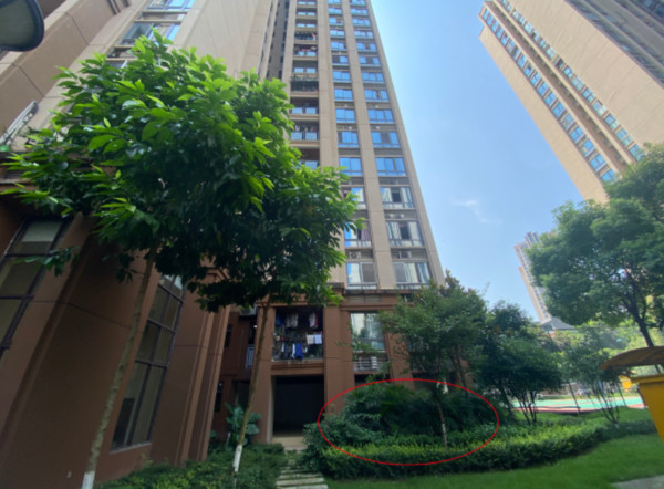 Bố ném hai con từ tầng 15 xuống rồi giả vờ quỳ khóc thương tâm tại hiện trường, sự thật bị phanh phui gây chấn động dư luận-1