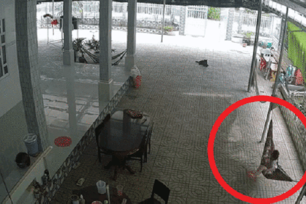 Nghỉ dịch ở nhà, bé gái cùng ông đem đất nặn ra chơi, nhìn thành phẩm mà dân mạng té xỉu-6