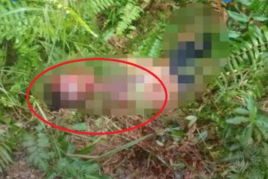 Cưỡng hiếp bé gái học lớp 5, gã yêu râu xanh định thả đi nhưng lại giết chết em ngay vì câu nói của đứa trẻ