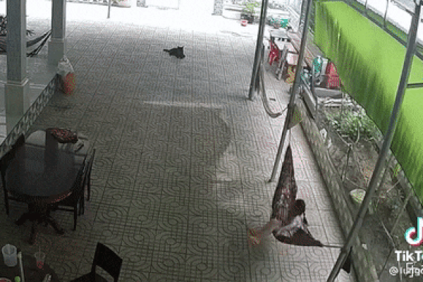 Độc đáo cách cắt lựu và tách hột không tốn thời gian-1