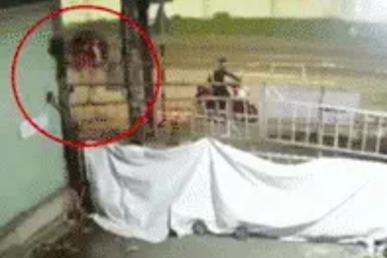 Cô gái vượt rào 3m của khu phong toả, vài phút sau đã phải 