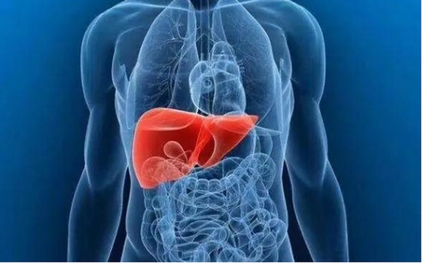 Mắt có mối quan hệ mật thiết với gan, nếu có 3 biểu hiện ở mắt, cần phải đi kiểm tra gan kịp thời-1
