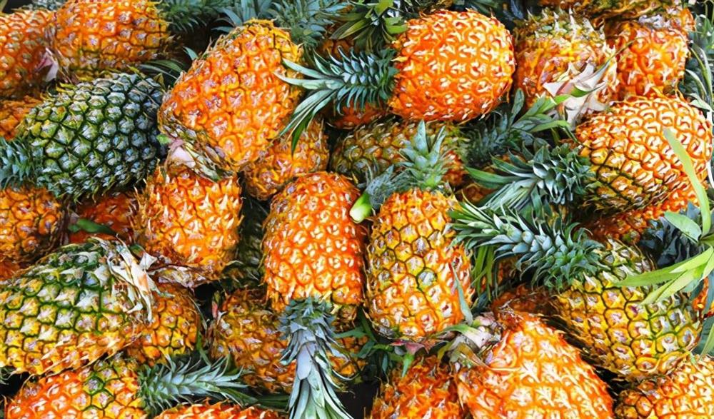 Khi mua dứa, nên quả dài hay tròn? Tưởng không quan trọng nhưng sự khác biệt giữa hai loại là rất lớn-1