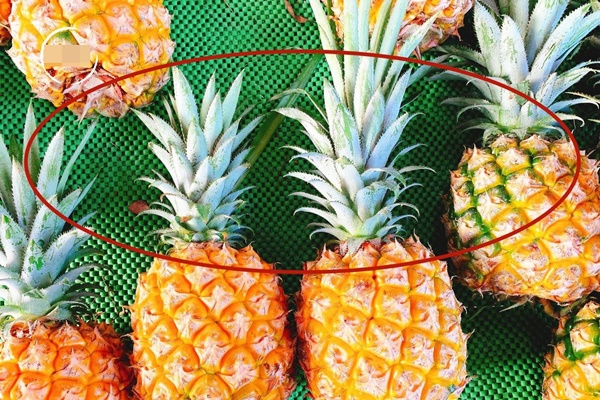 Cảnh giác với các bệnh liên quan đến tủ lạnh và biện pháp 2 nên, 2 không nên để phòng tránh-7