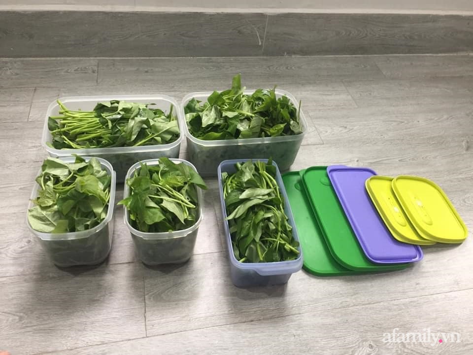 Mẹ Sài Gòn chia sẻ mẹo bảo quản 1 tuần đối với rau xanh để ít phải ra ngoài đi chợ-3