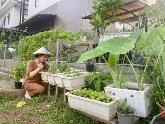 Nhật Kim Anh hóa nông dân chăm sóc vườn rau xanh mướt vào mùa dịch-1