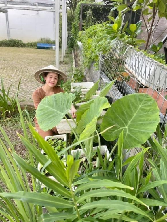 Nhật Kim Anh hóa nông dân chăm sóc vườn rau xanh mướt vào mùa dịch-9