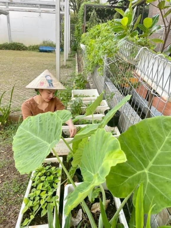 Nhật Kim Anh hóa nông dân chăm sóc vườn rau xanh mướt vào mùa dịch-10