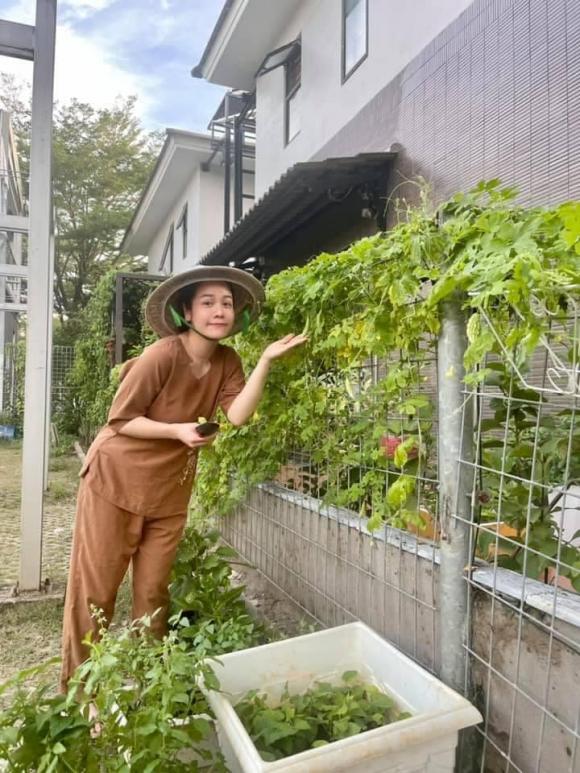 Nhật Kim Anh hóa nông dân chăm sóc vườn rau xanh mướt vào mùa dịch-12