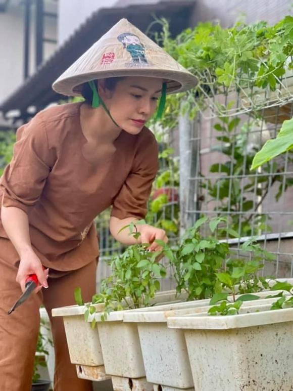 Nhật Kim Anh hóa nông dân chăm sóc vườn rau xanh mướt vào mùa dịch-3
