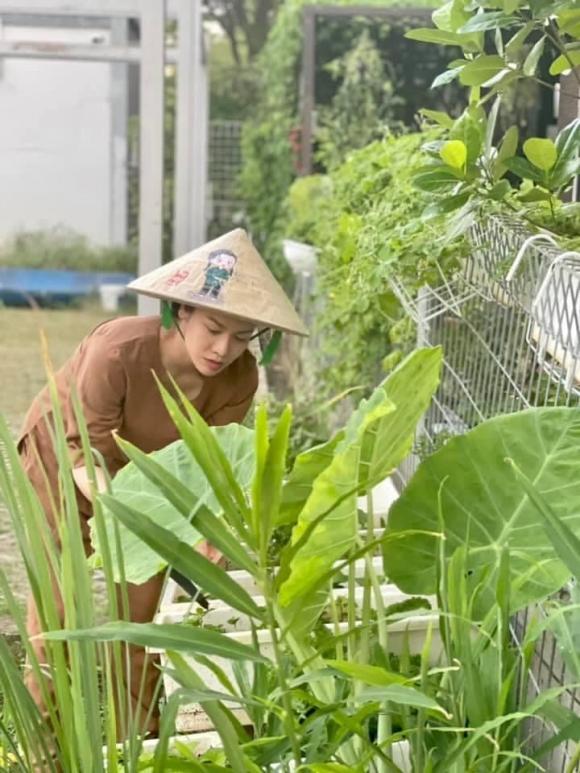 Nhật Kim Anh hóa nông dân chăm sóc vườn rau xanh mướt vào mùa dịch-5