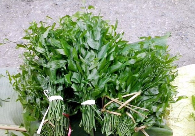 Hà Nội: Rau ngót 200.000 đồng/kg khiến ai cũng sửng sốt-1