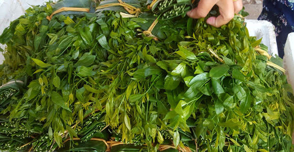 Hà Nội: Rau ngót 200.000 đồng/kg khiến ai cũng sửng sốt-6