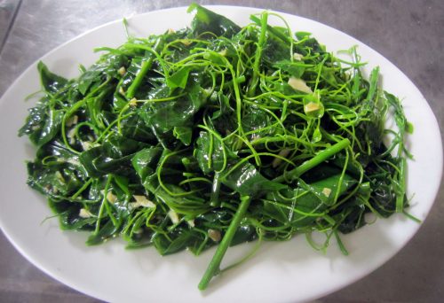 Hà Nội: Rau ngót 200.000 đồng/kg khiến ai cũng sửng sốt-7