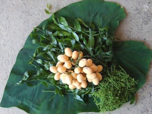 Hà Nội: Rau ngót 200.000 đồng/kg khiến ai cũng sửng sốt-9