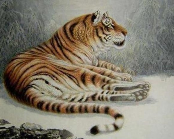 3 con giáp nữ càng hiền lương chăm chỉ càng hưởng nhiều phúc khí, vượng phu ích tử-3