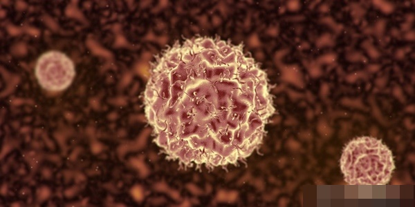 Bác sĩ trưởng khoa ung bướu tiết lộ những người miễn dịch ung thư thường có 7 đặc điểm này-1