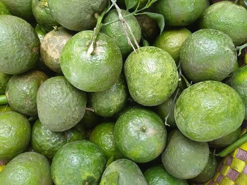 Cam sành vắt nước, món bình dân bỗng thành hàng hot Sài Thành-2