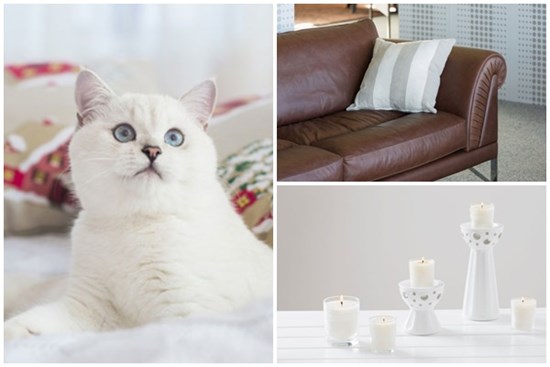 7 thứ trong nhà chẳng ai nghĩ đến nhưng lại gây ngứa da, vậy đâu là mẹo để phòng tránh?