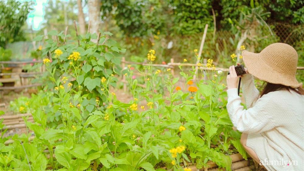 Cuộc sống yên bình bên khu vườn 2000m² sau hai năm bỏ phố về quê của cặp vợ chồng 9X-2