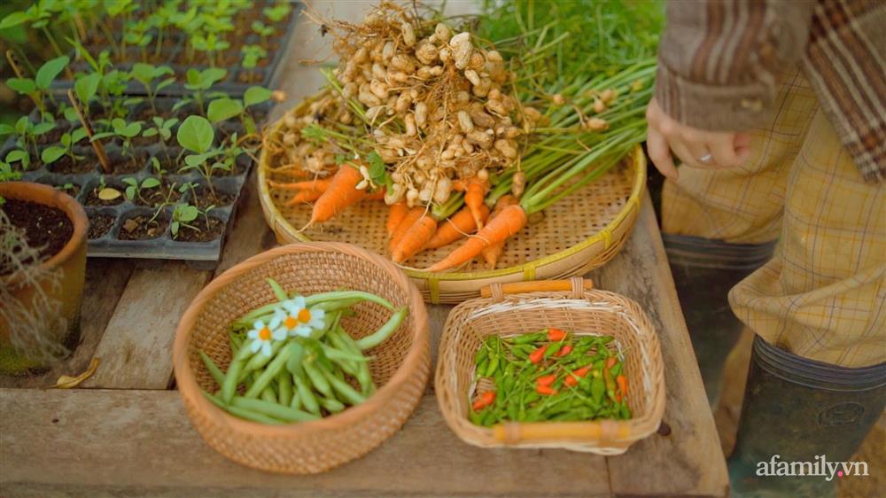Cuộc sống yên bình bên khu vườn 2000m² sau hai năm bỏ phố về quê của cặp vợ chồng 9X-5