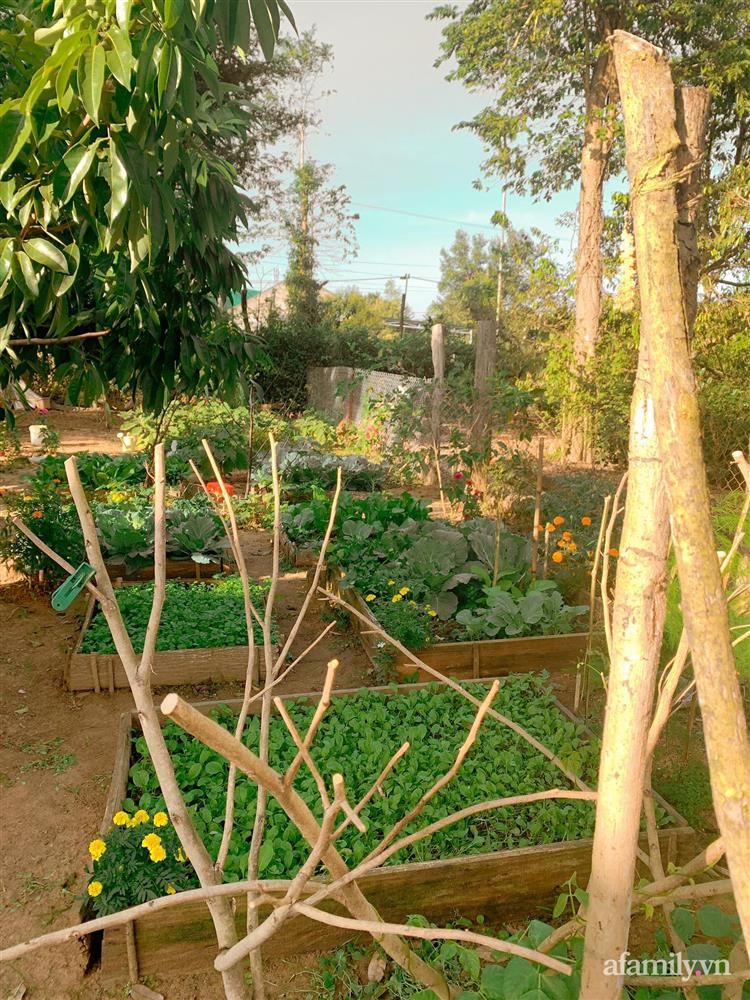 Cuộc sống yên bình bên khu vườn 2000m² sau hai năm bỏ phố về quê của cặp vợ chồng 9X-11