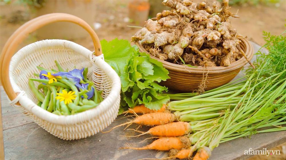 Cuộc sống yên bình bên khu vườn 2000m² sau hai năm bỏ phố về quê của cặp vợ chồng 9X-6