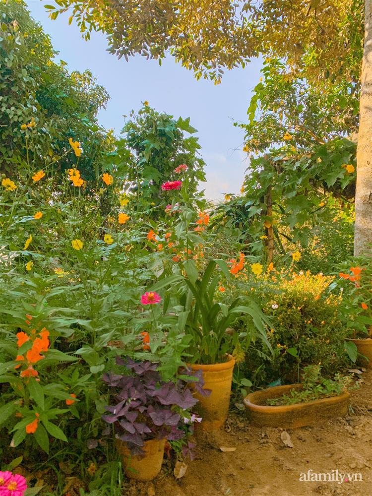Cuộc sống yên bình bên khu vườn 2000m² sau hai năm bỏ phố về quê của cặp vợ chồng 9X-7