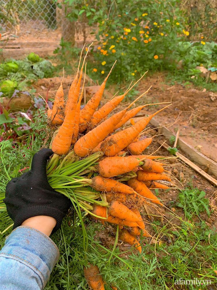 Cuộc sống yên bình bên khu vườn 2000m² sau hai năm bỏ phố về quê của cặp vợ chồng 9X-12