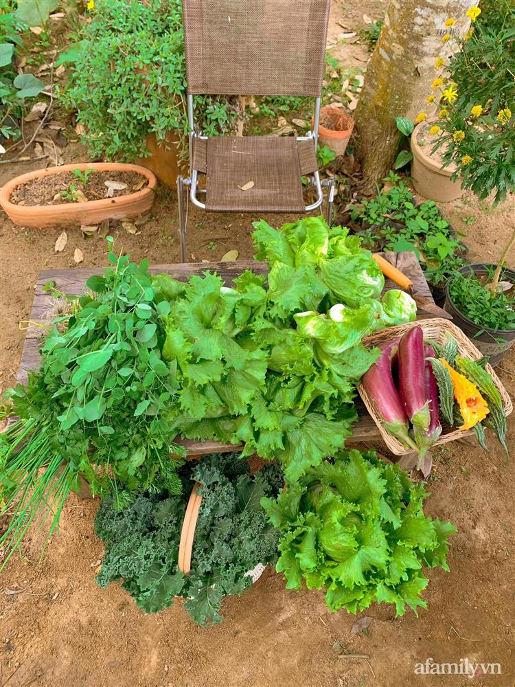 Cuộc sống yên bình bên khu vườn 2000m² sau hai năm bỏ phố về quê của cặp vợ chồng 9X-13