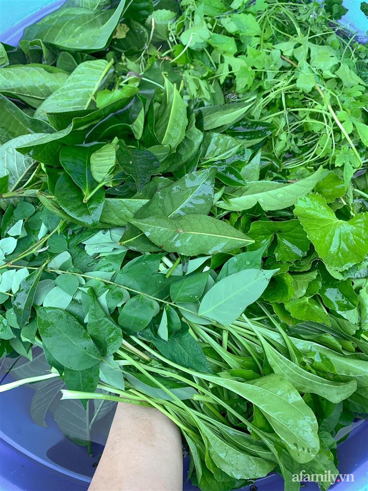 Cuộc sống yên bình bên khu vườn 2000m² sau hai năm bỏ phố về quê của cặp vợ chồng 9X-15