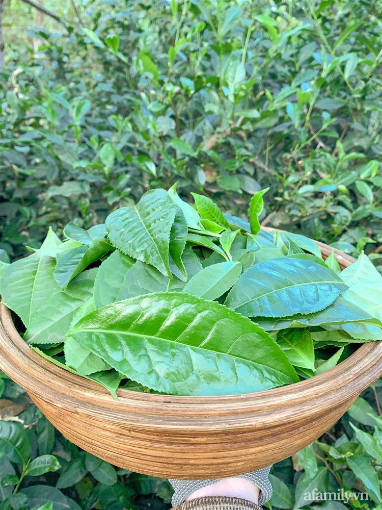 Cuộc sống yên bình bên khu vườn 2000m² sau hai năm bỏ phố về quê của cặp vợ chồng 9X-17