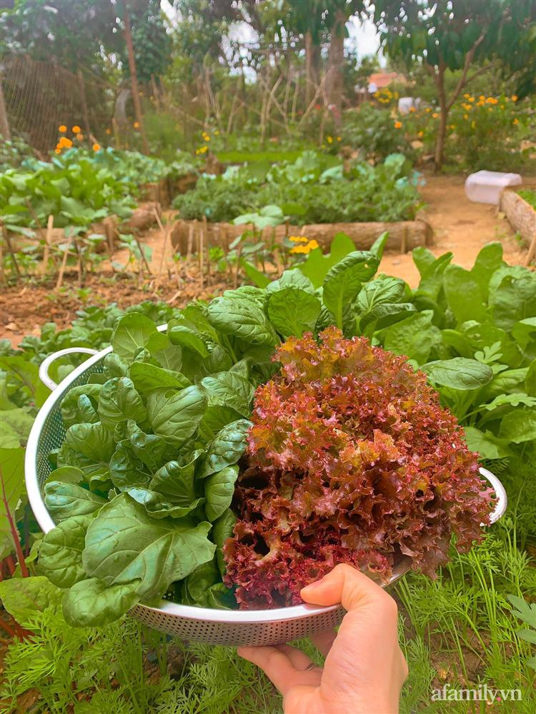 Cuộc sống yên bình bên khu vườn 2000m² sau hai năm bỏ phố về quê của cặp vợ chồng 9X-18