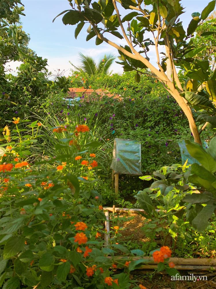 Cuộc sống yên bình bên khu vườn 2000m² sau hai năm bỏ phố về quê của cặp vợ chồng 9X-19