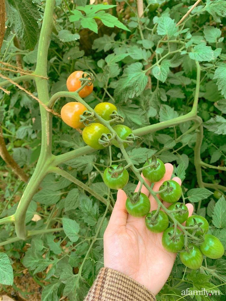 Cuộc sống yên bình bên khu vườn 2000m² sau hai năm bỏ phố về quê của cặp vợ chồng 9X-20