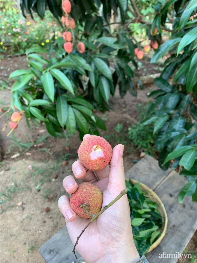 Cuộc sống yên bình bên khu vườn 2000m² sau hai năm bỏ phố về quê của cặp vợ chồng 9X-21