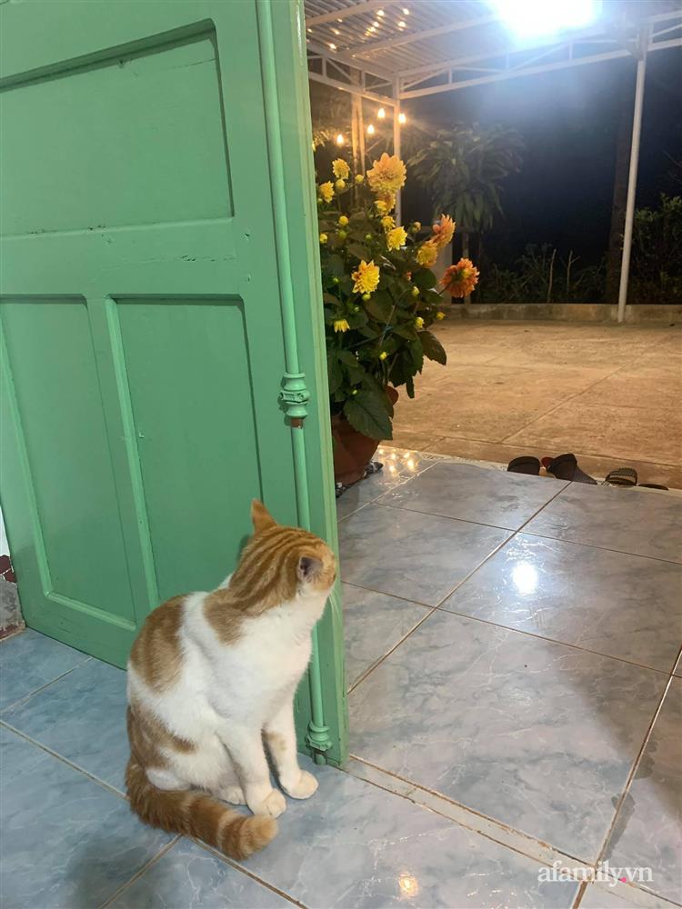 Cuộc sống yên bình bên khu vườn 2000m² sau hai năm bỏ phố về quê của cặp vợ chồng 9X-27