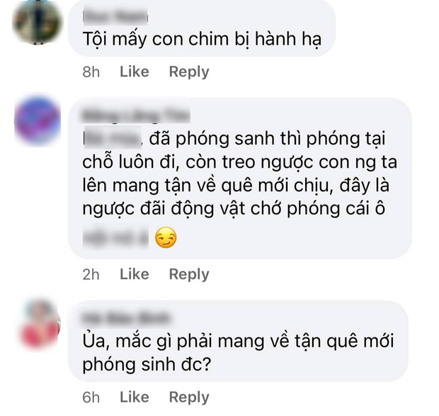 Lùm xùm khắc tên lên mai rùa chưa lắng, Thuỷ Tiên bị netizen khui lại clip treo ngược đàn cò lửa trên ô tô khi mua để phóng sinh-6