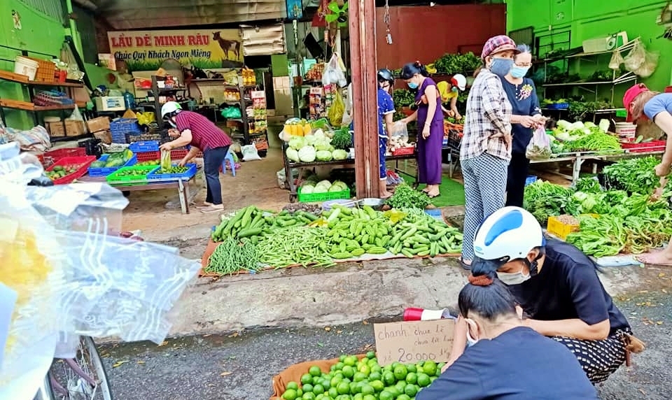 Bán rau đột biến miễn phí, Minh Râu Đồng Nai lại nhắn tin nức lòng người-3