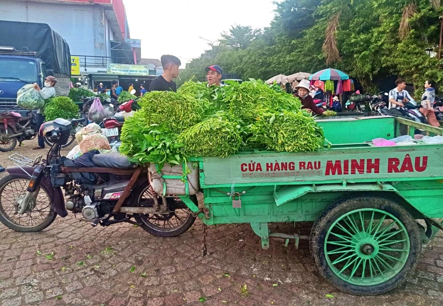 Bán rau đột biến miễn phí, Minh Râu Đồng Nai lại nhắn tin nức lòng người-6