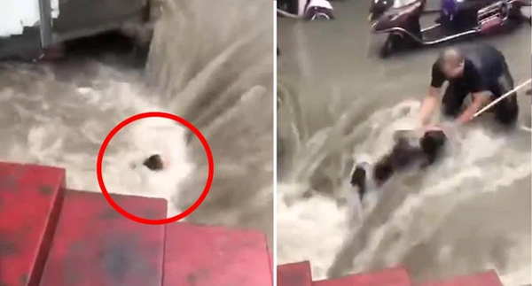 Cô gái thoát chết sau khi suýt bị dòng nước lũ ngàn năm có một hút xuống cống, video giải cứu gây bão cộng đồng mạng-1