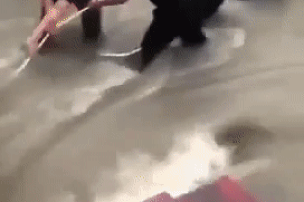 Cảnh sát dùng tay không nâng ô tô của tài xế say rượu cứu hai mẹ con-1