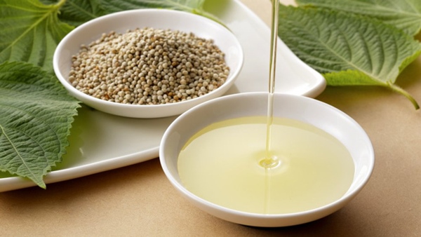 Loại rau siêu bổ dưỡng, khi ép thành dầu tốt hơn cả dầu đậu phộng nhưng không phải ai cũng biết cách tận dụng-1