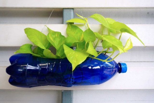 5 sự thay thế tại nhà giúp bạn giảm sử dụng nhựa để bảo vệ môi trường-9